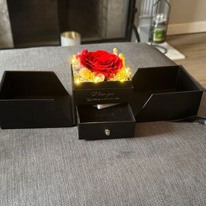 Illuminated Red Rose Gift Jewelry Box with Drawers